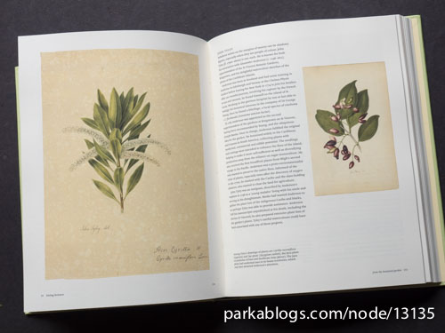 Botanical Sketchbooks - 05