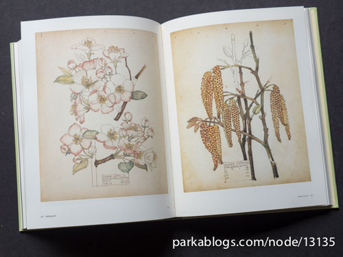 Botanical Sketchbooks - 09