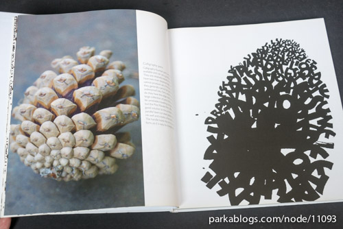 https://www.parkablogs.com/content/book-review-calligraphy-book-of-contemporary-inspiration - 03
