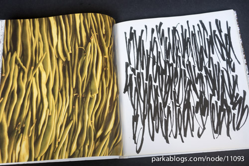 https://www.parkablogs.com/content/book-review-calligraphy-book-of-contemporary-inspiration - 08