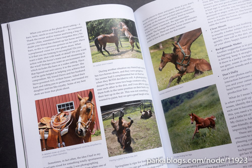 CP Horses: A Complete Guide to Drawing Horses in Colored Pencil - 04