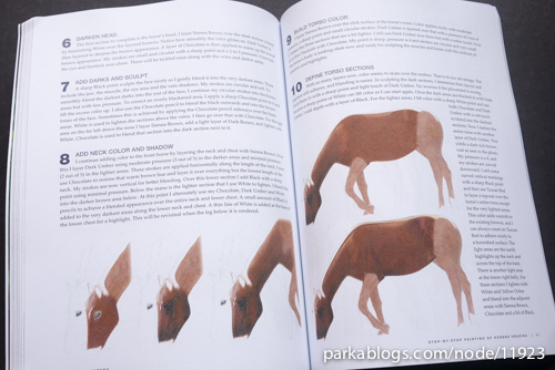 CP Horses: A Complete Guide to Drawing Horses in Colored Pencil - 11