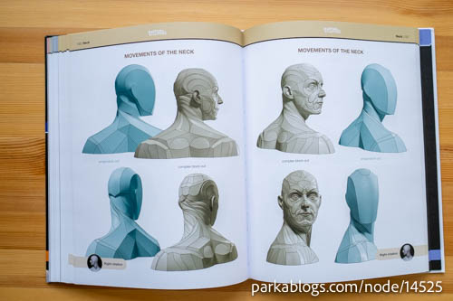 Form of the Head and Neck by Uldis Zarins - 11