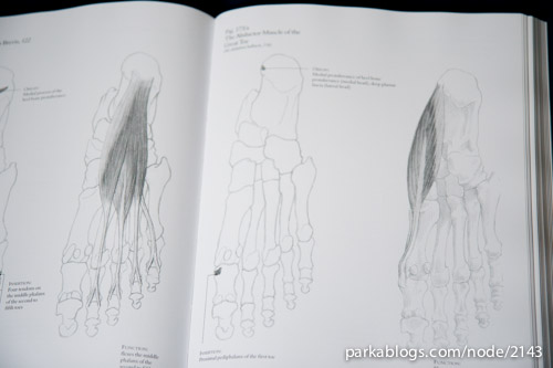 Book Review: Human Anatomy for Artists | Parka Blogs