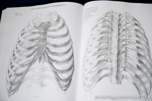 Human Anatomy for Artists - 05