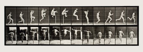 Eadweard Muybridge: The Complete Locomotion Photographs - 04