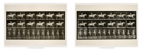 Eadweard Muybridge: The Complete Locomotion Photographs - 06