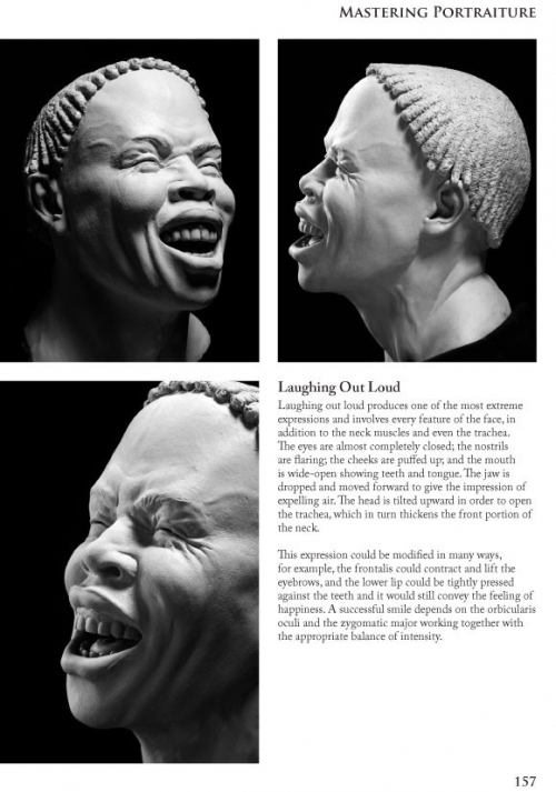 Mastering Portraiture: Advanced Analyses of the Face Sculpted in Clay - 07