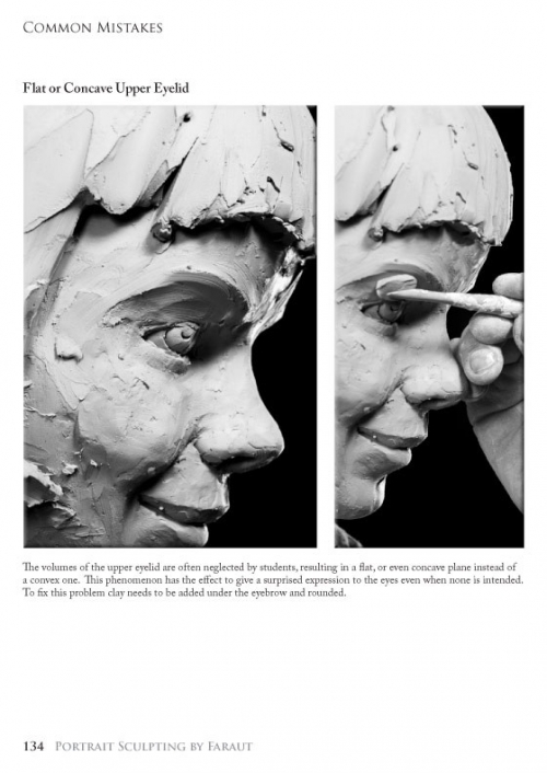 Portrait Sculpting: Anatomy & Expression in Clay - 05