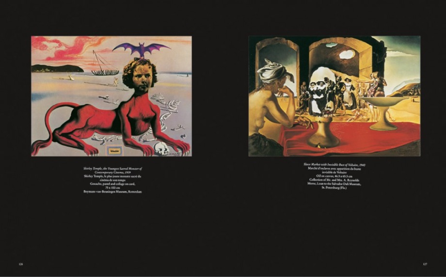 Salvador Dali The Paintings - 03