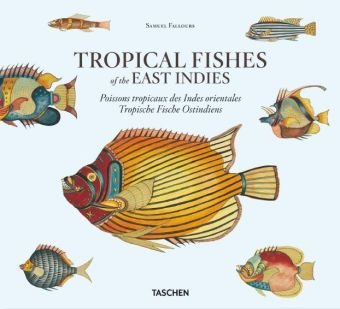Book Preview: Tropical Fishes of the East Indies