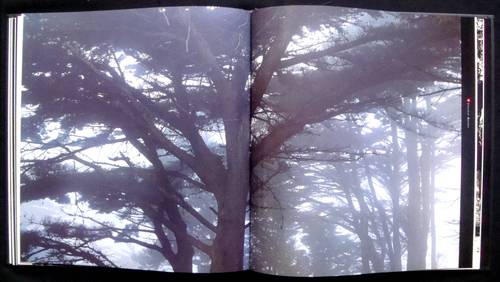 Presidio Gateways: Views of a National Landmark at San Francisco's Golden Gate