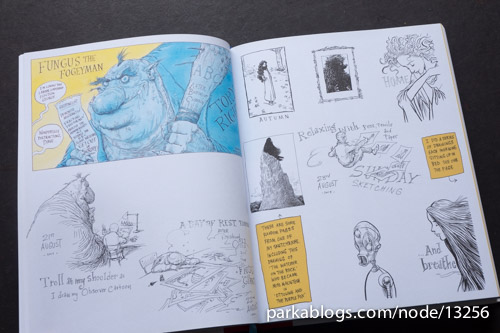 Travels with my Sketchbook by Chris Riddell - 08