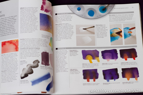Watercolor Artist's Guide to Exceptional Color - 04